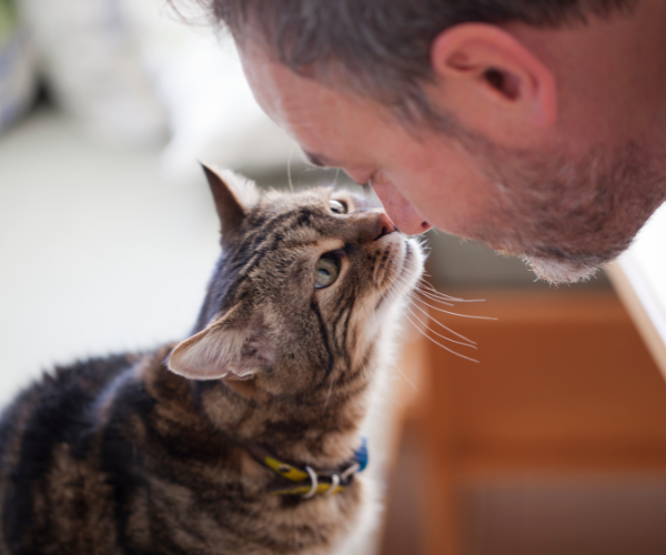 man with tabby cat