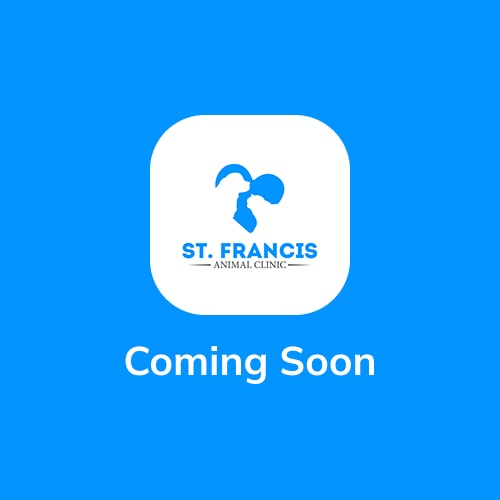 Placeholder Image - Blue Placeholder image for team member image